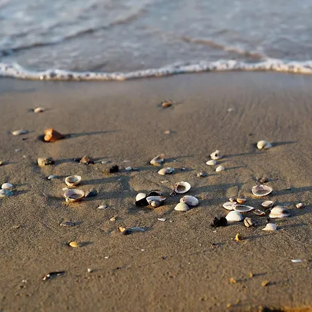 Flat A Stones Throw From The Centre Of